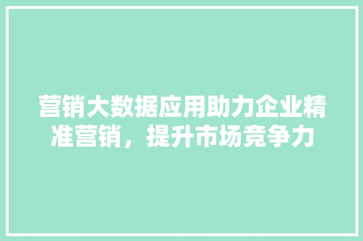 营销大数据应用助力企业精准营销，提升市场竞争力  第1张