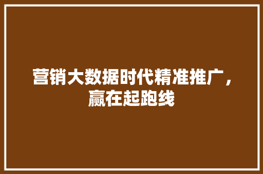 营销大数据时代精准推广，赢在起跑线  第1张