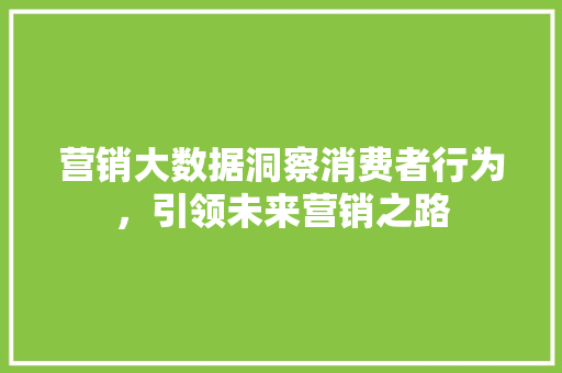 营销大数据洞察消费者行为，引领未来营销之路  第1张