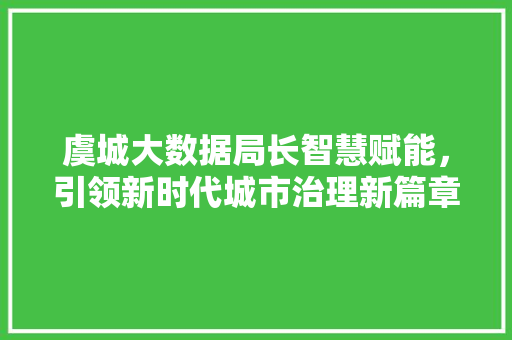 虞城大数据局长智慧赋能，引领新时代城市治理新篇章