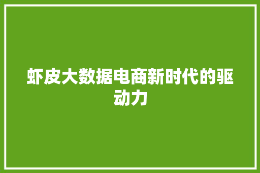 虾皮大数据电商新时代的驱动力  第1张
