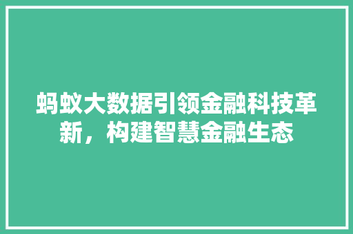 蚂蚁大数据引领金融科技革新，构建智慧金融生态