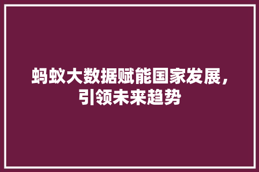 蚂蚁大数据赋能国家发展，引领未来趋势