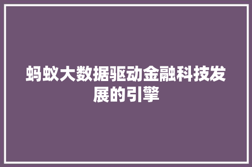 蚂蚁大数据驱动金融科技发展的引擎