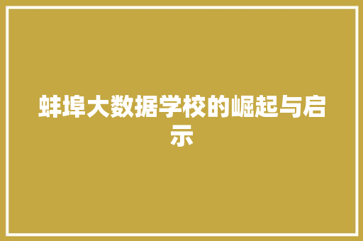 蚌埠大数据学校的崛起与启示