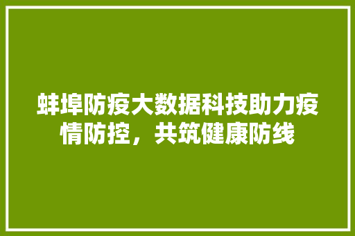 蚌埠防疫大数据科技助力疫情防控，共筑健康防线  第1张