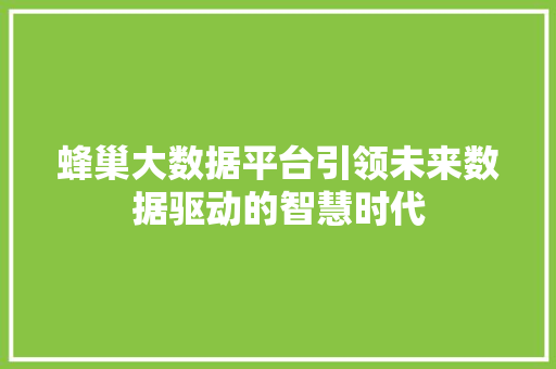 蜂巢大数据平台引领未来数据驱动的智慧时代
