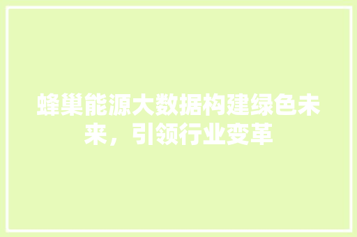 蜂巢能源大数据构建绿色未来，引领行业变革