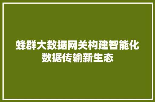 蜂群大数据网关构建智能化数据传输新生态