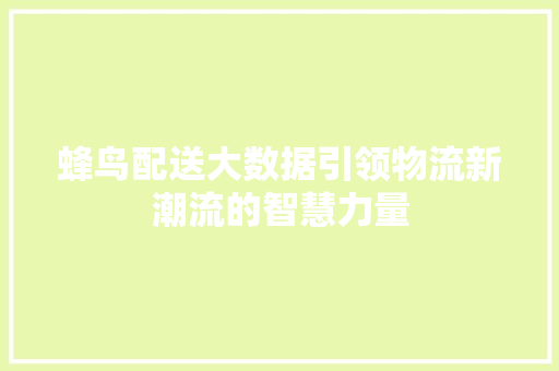 蜂鸟配送大数据引领物流新潮流的智慧力量