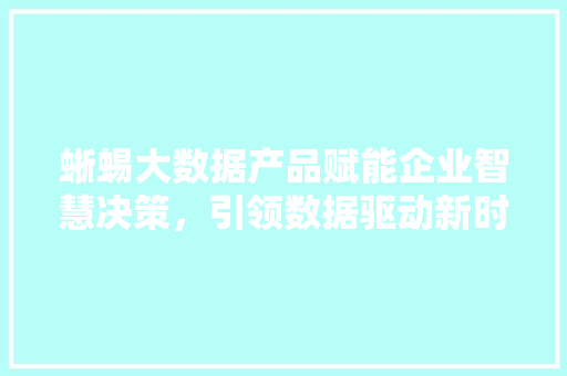 蜥蜴大数据产品赋能企业智慧决策，引领数据驱动新时代
