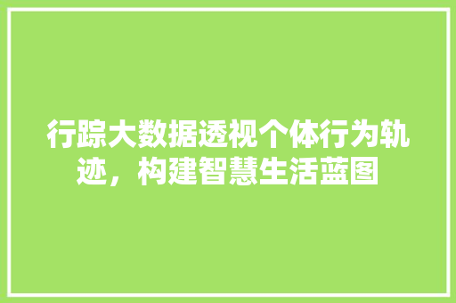 行踪大数据透视个体行为轨迹，构建智慧生活蓝图  第1张