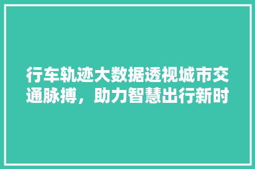 行车轨迹大数据透视城市交通脉搏，助力智慧出行新时代