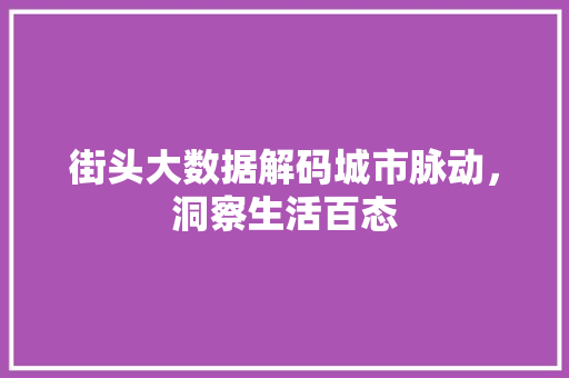 街头大数据解码城市脉动，洞察生活百态