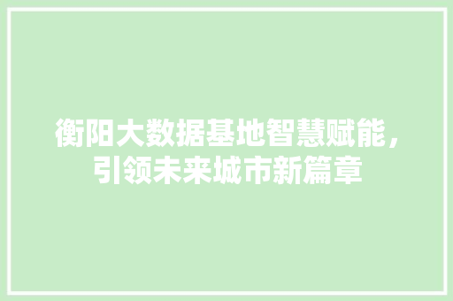 衡阳大数据基地智慧赋能，引领未来城市新篇章  第1张