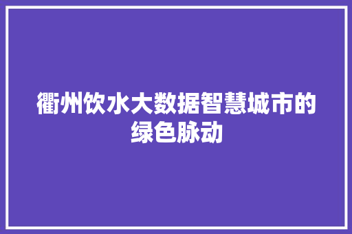 衢州饮水大数据智慧城市的绿色脉动
