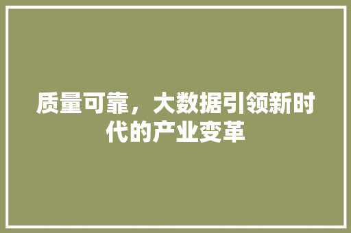 质量可靠，大数据引领新时代的产业变革
