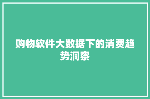 购物软件大数据下的消费趋势洞察