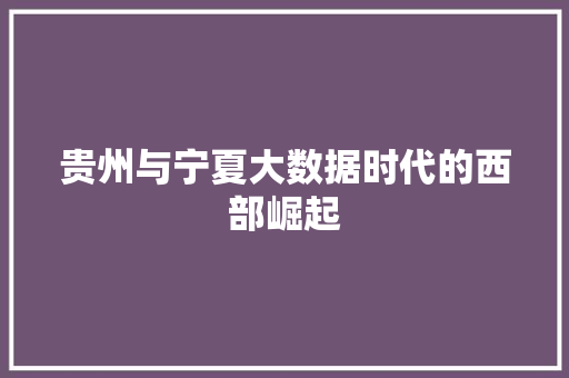 贵州与宁夏大数据时代的西部崛起  第1张