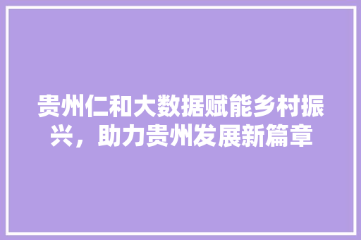 贵州仁和大数据赋能乡村振兴，助力贵州发展新篇章