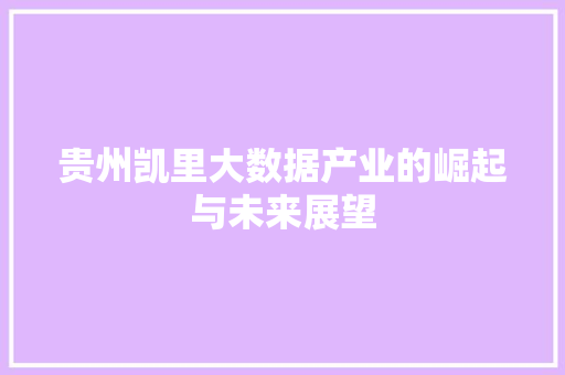 贵州凯里大数据产业的崛起与未来展望