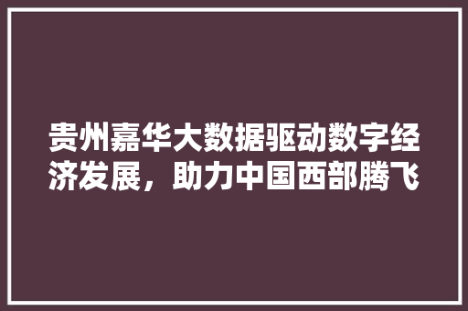 贵州嘉华大数据驱动数字经济发展，助力中国西部腾飞