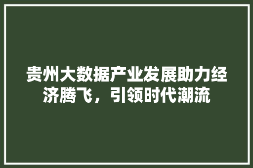 贵州大数据产业发展助力经济腾飞，引领时代潮流  第1张