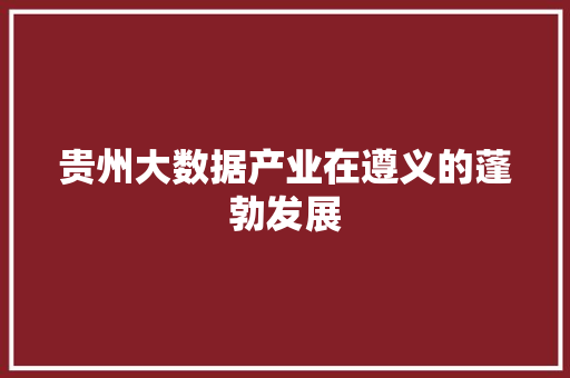 贵州大数据产业在遵义的蓬勃发展  第1张