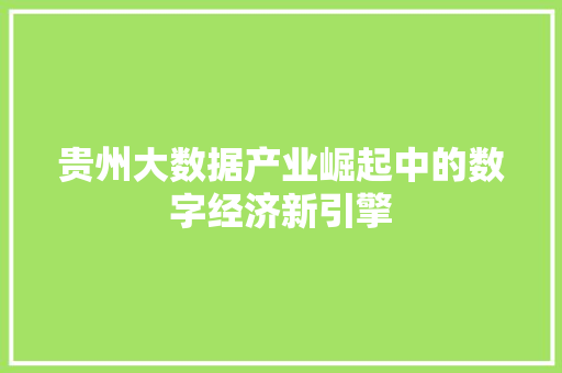 贵州大数据产业崛起中的数字经济新引擎  第1张