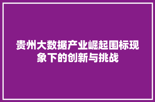 贵州大数据产业崛起围标现象下的创新与挑战  第1张