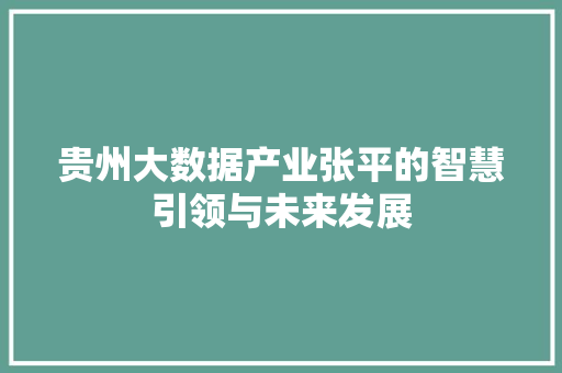 贵州大数据产业张平的智慧引领与未来发展  第1张