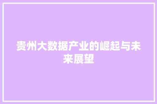 贵州大数据产业的崛起与未来展望  第1张