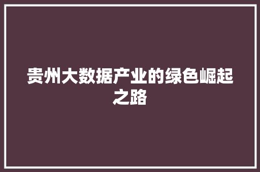 贵州大数据产业的绿色崛起之路  第1张