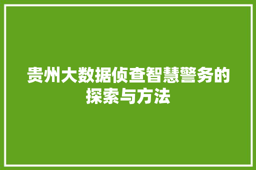 贵州大数据侦查智慧警务的探索与方法