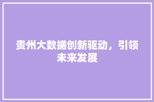 贵州大数据创新驱动，引领未来发展  第1张