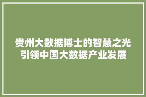 贵州大数据博士的智慧之光引领中国大数据产业发展