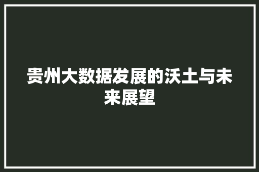 贵州大数据发展的沃土与未来展望  第1张
