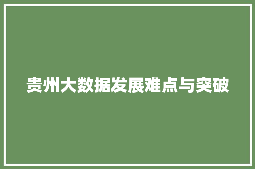 贵州大数据发展难点与突破