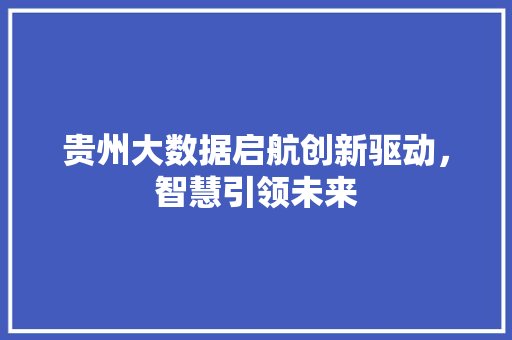 贵州大数据启航创新驱动，智慧引领未来  第1张
