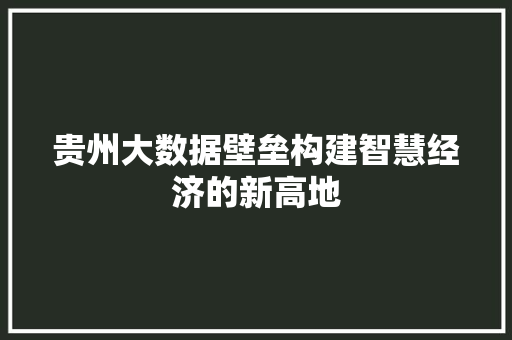 贵州大数据壁垒构建智慧经济的新高地