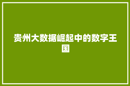 贵州大数据崛起中的数字王国  第1张