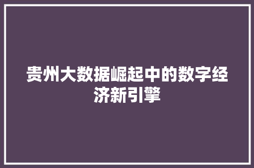贵州大数据崛起中的数字经济新引擎  第1张