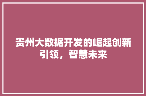 贵州大数据开发的崛起创新引领，智慧未来  第1张