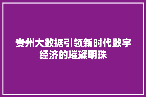 贵州大数据引领新时代数字经济的璀璨明珠  第1张
