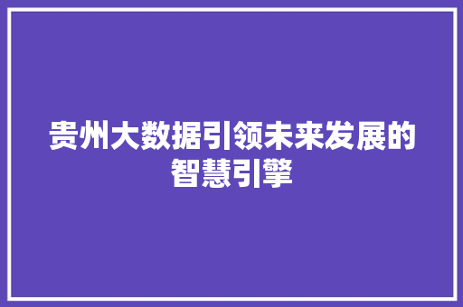 贵州大数据引领未来发展的智慧引擎  第1张
