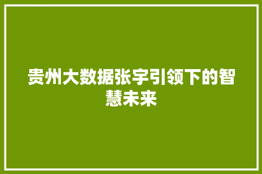 贵州大数据张宇引领下的智慧未来