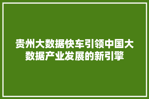 贵州大数据快车引领中国大数据产业发展的新引擎  第1张