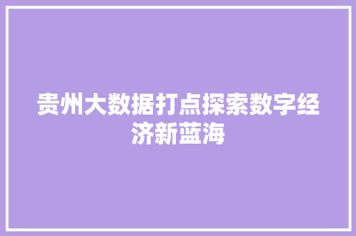 贵州大数据打点探索数字经济新蓝海