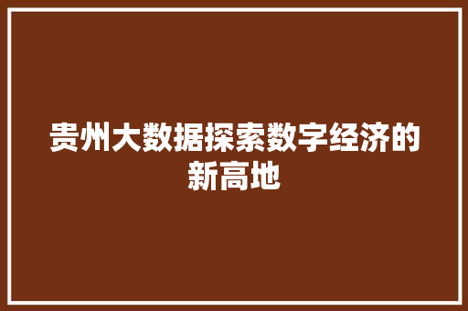 贵州大数据探索数字经济的新高地  第1张