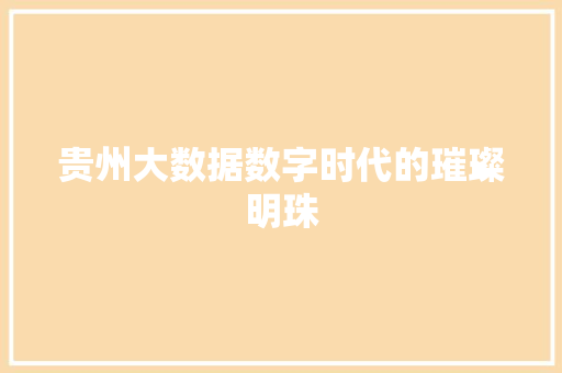 贵州大数据数字时代的璀璨明珠  第1张